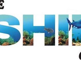 deep-sea-fishing-charters-gold-coast-by-paradisefishing