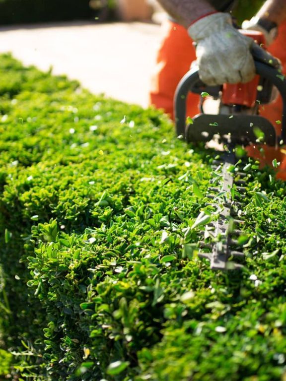 garden-maintenance-melbourne-big-1