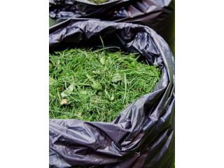 garden-maintenance-melbourne-small-0