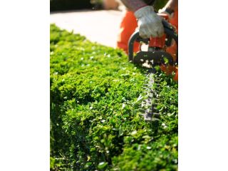 garden-maintenance-melbourne-small-1