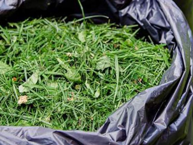 garden-maintenance-melbourne