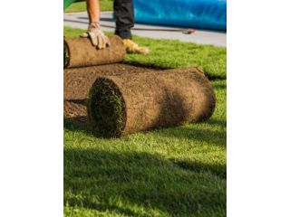 decking-melbourne-small-2