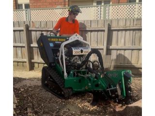 arborist-in-abbotsford-small-2