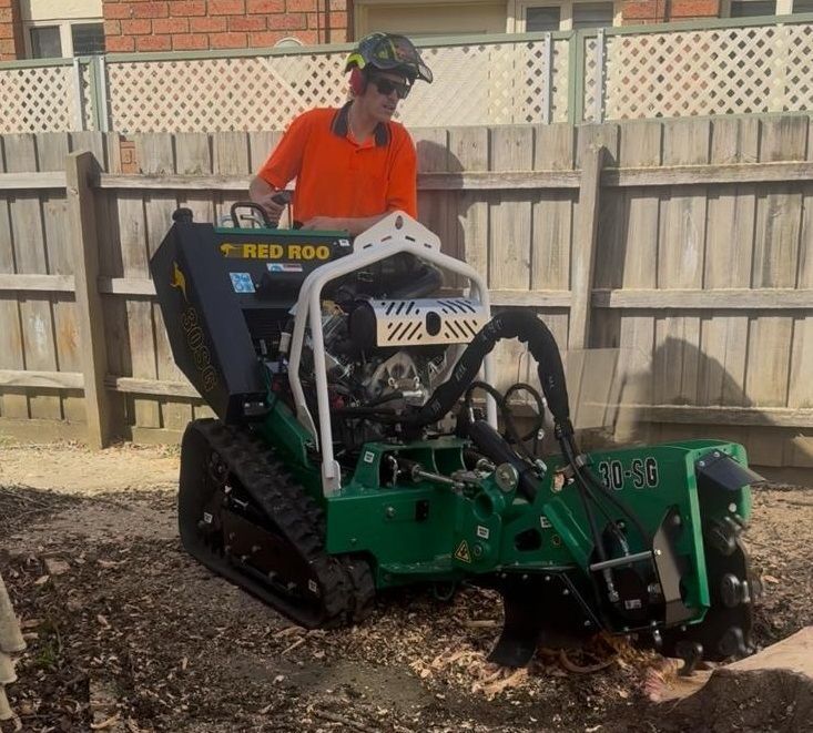 arborist-in-albanvale-big-1