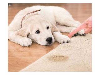 water-damage-restoration-in-perth-small-4
