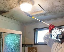 upholstery-cleaning-in-perth-big-4