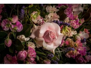 a-circle-of-light-for-a-final-farewell-with-hand-picked-wreaths-small-0