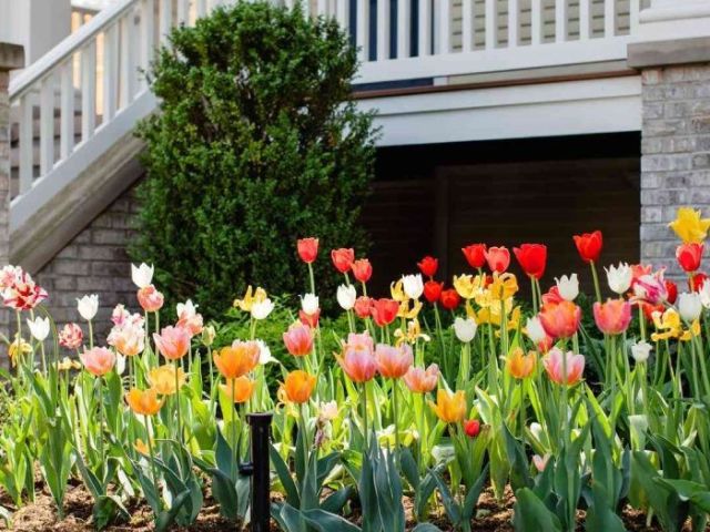landscaping-contractors-sydney-reliable-affordable-solutions
