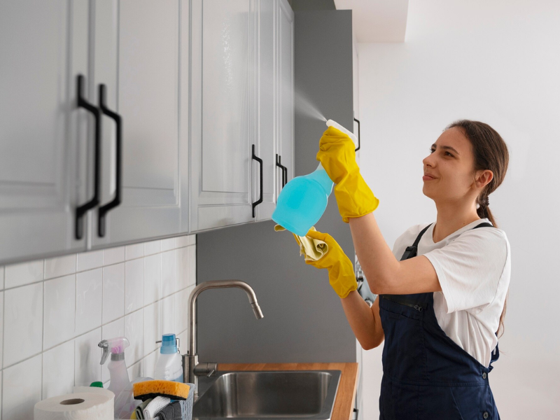 professional-domestic-cleaning-services-in-canberra-big-0
