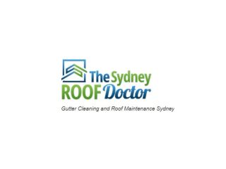 professional-sydney-gutter-cleaning-services-small-0