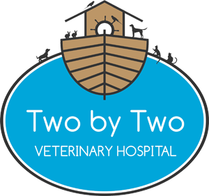 vet-clinic-in-northern-beaches-for-complete-pet-healthcare-big-0