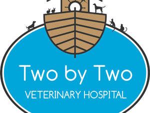 vet-clinic-in-northern-beaches-for-complete-pet-healthcare