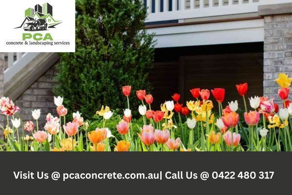 surry-hills-landscaping-contractors-near-you-big-0
