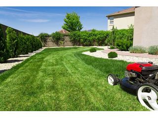 unsure-of-costs-get-landscaping-estimate-before-you-start-small-4