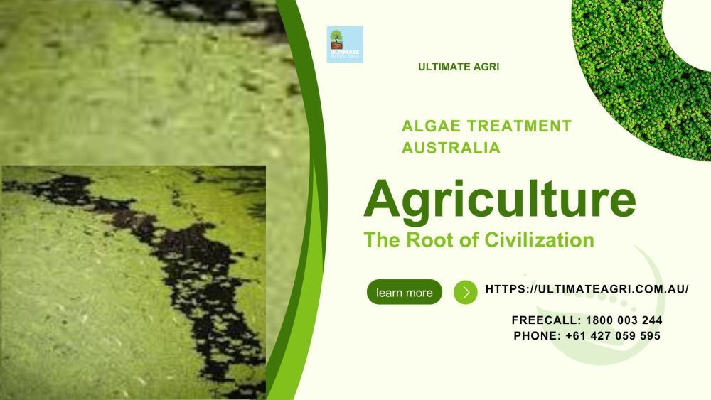 algae-treatment-in-australia-big-0