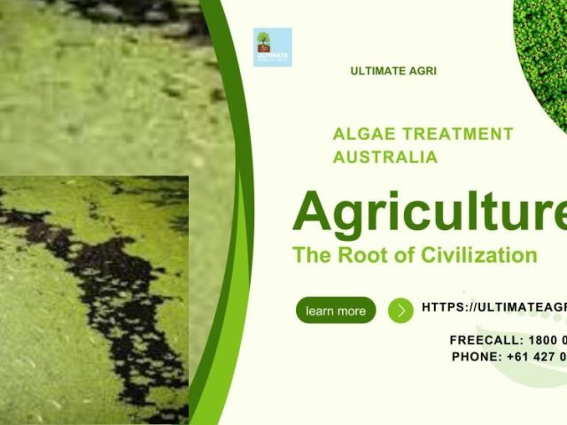 algae-treatment-in-australia