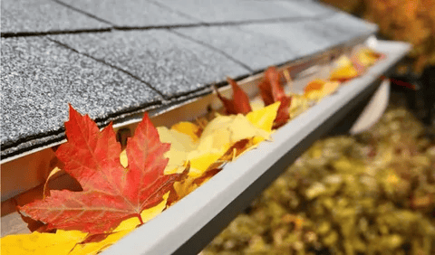 gutter-cleaning-in-highton-big-0
