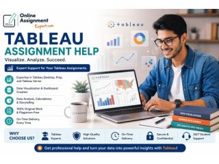 nlock-powerful-data-insights-with-professional-visualization-small-0