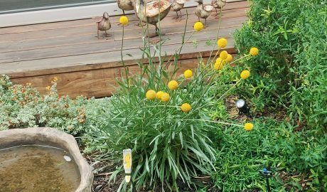partner-with-a-trusted-landscape-gardening-company-big-0