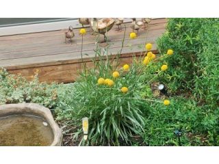 partner-with-a-trusted-landscape-gardening-company-small-0