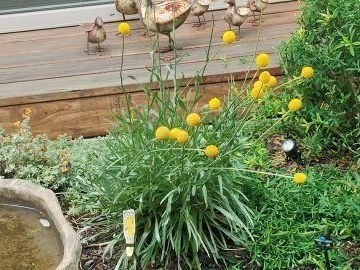 partner-with-a-trusted-landscape-gardening-company