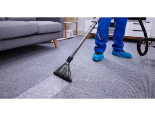 carpet-cleaning-miranda-home-cleaning-small-0