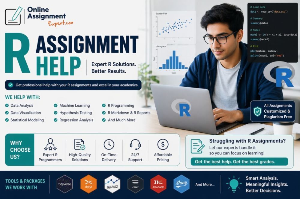 professional-r-programming-and-statistical-data-analysis-support-big-0