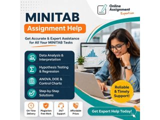 save-big-on-expert-minitab-assignment-help-services-small-0