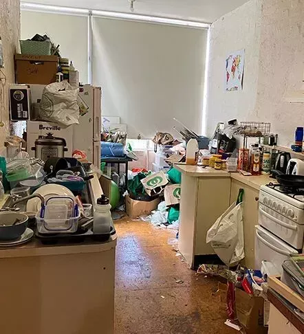 declutter-organise-for-families-big-2