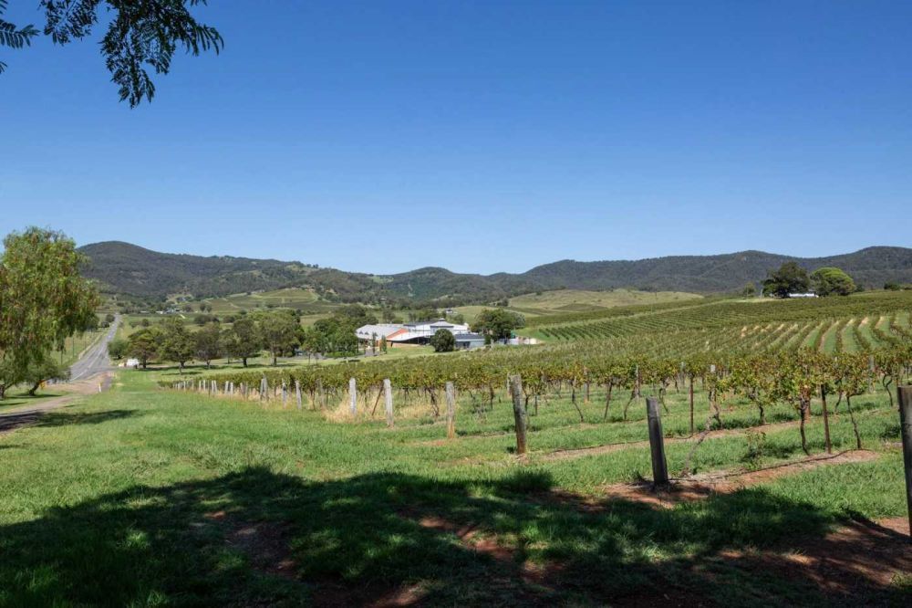 top-vineyards-in-hunter-valley-to-explore-today-big-0