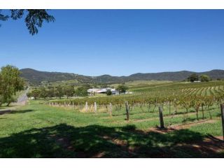 top-vineyards-in-hunter-valley-to-explore-today-small-0