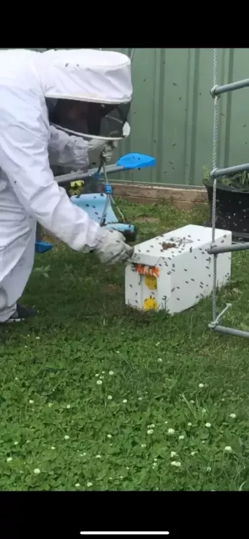 emk-termite-pest-control-sydney-big-0