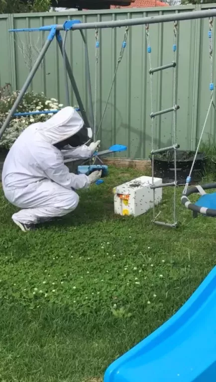 emk-termite-pest-control-sydney-big-1