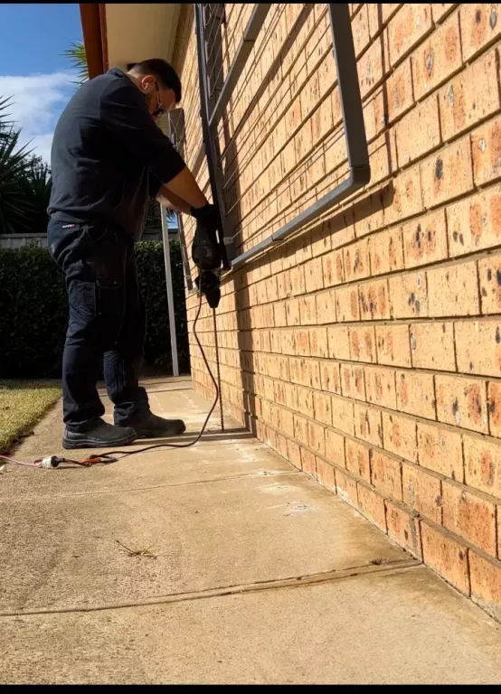 emk-termite-pest-control-sydney-big-4