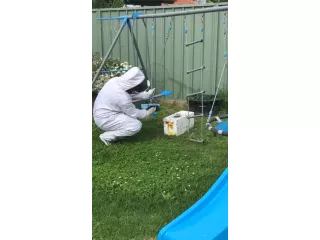 emk-termite-pest-control-sydney-small-1