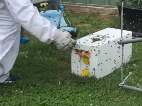 emk-termite-pest-control-sydney
