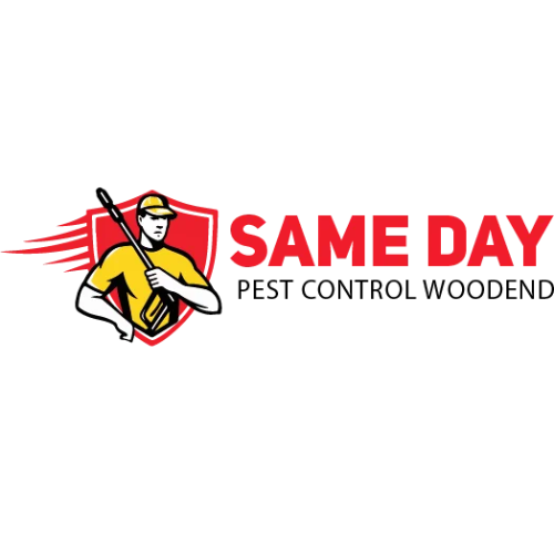 same-day-pest-control-woodend-big-0