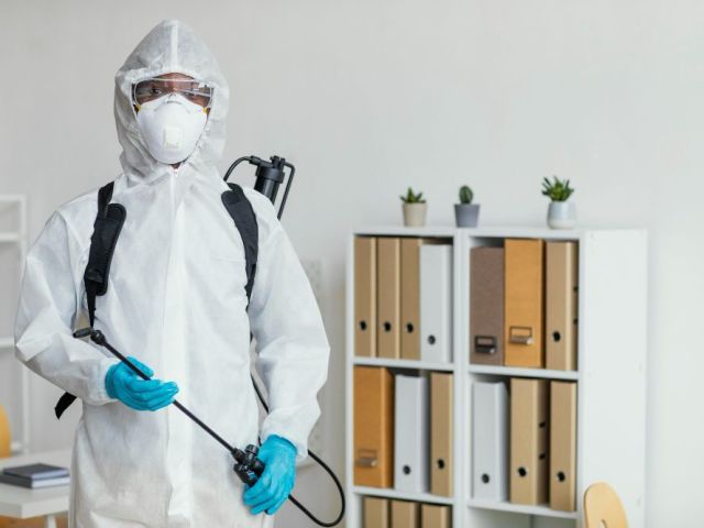 pest-control-hope-island-reliable-services-for-homes