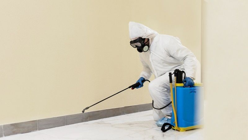 pest-control-coomera-reliable-solutions-for-homes-big-0