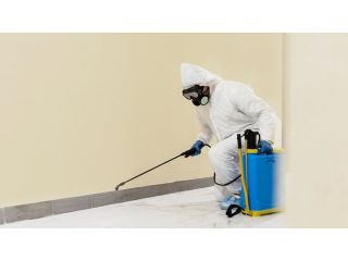 pest-control-coomera-reliable-solutions-for-homes-small-0