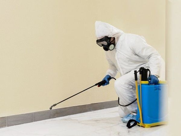 pest-control-coomera-reliable-solutions-for-homes