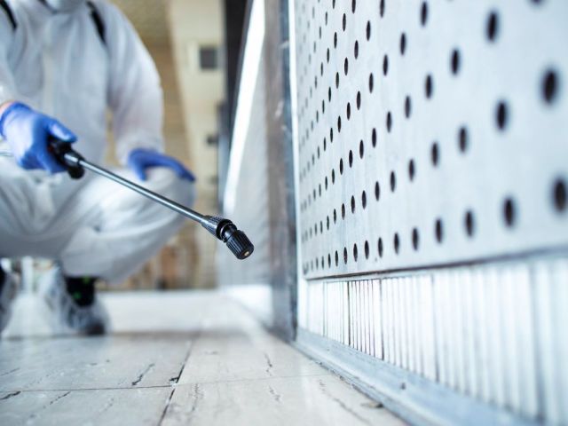 pest-control-helensvale-reliable-services-for-homes