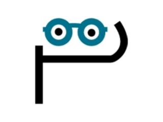 expert-web-app-development-company-perfectiongeeks-small-0
