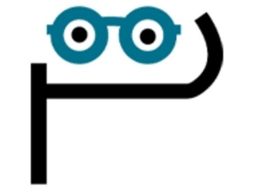 expert-web-app-development-company-perfectiongeeks