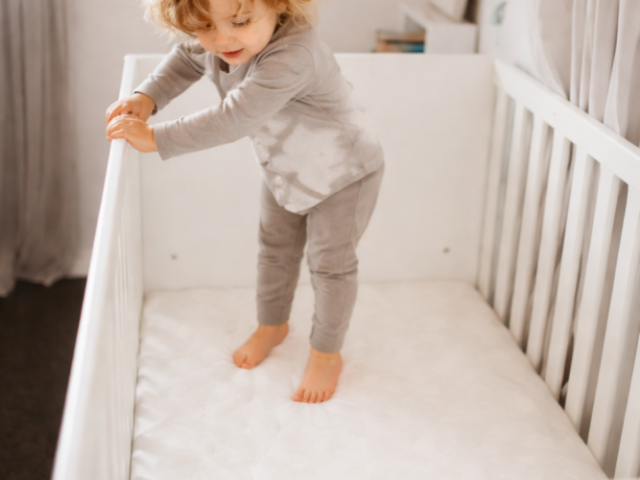 best-waterproof-cot-mattress-for-easy-cleaning