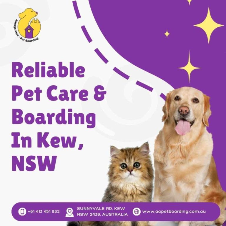 reliable-pet-care-boarding-in-kew-nsw-big-0