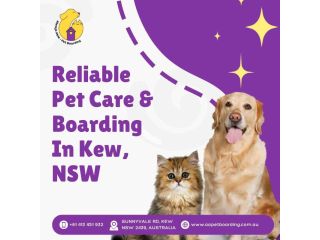 reliable-pet-care-boarding-in-kew-nsw-small-0