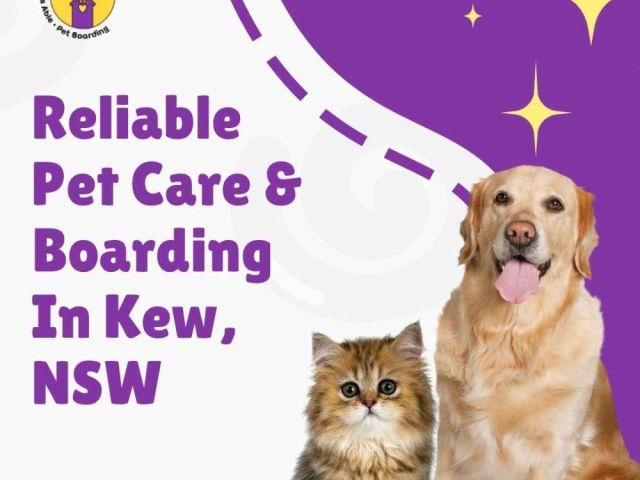 reliable-pet-care-boarding-in-kew-nsw