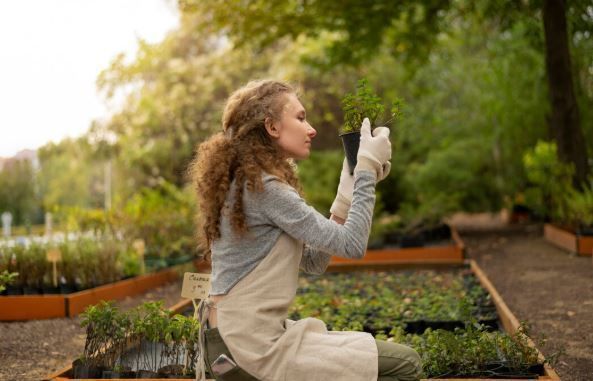 vegetable-gardening-tips-for-healthy-homegrown-produce-big-0