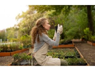 vegetable-gardening-tips-for-healthy-homegrown-produce-small-0